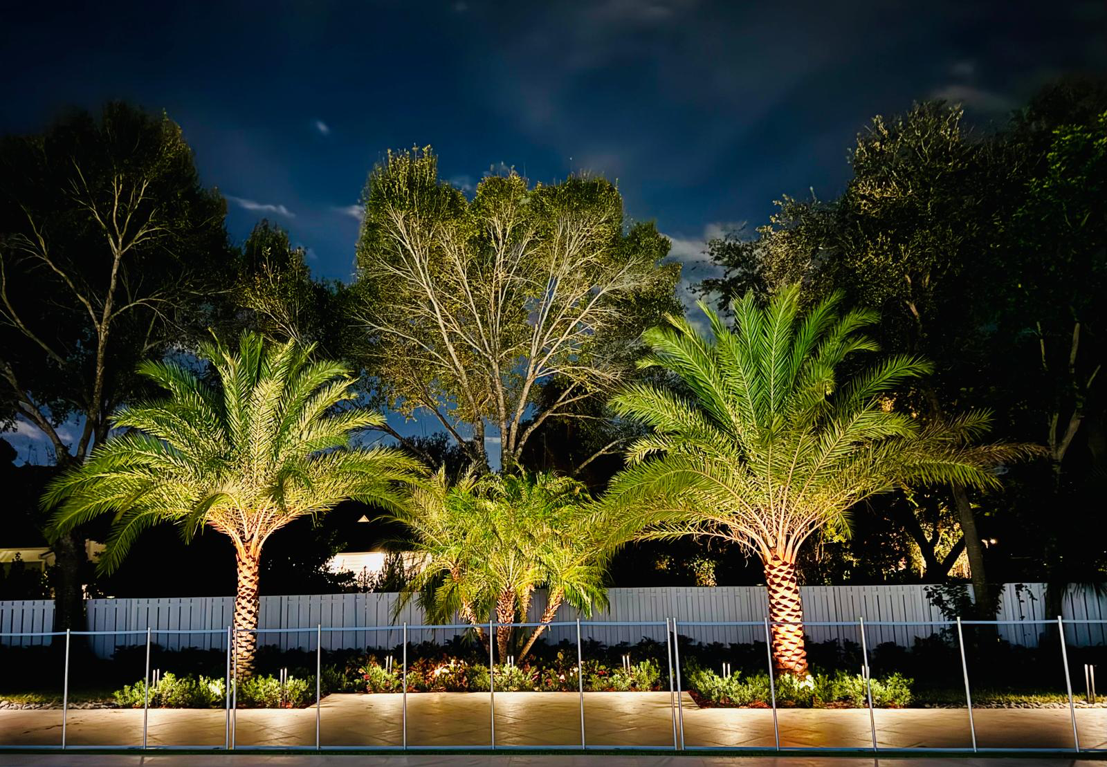 Greenscaper landscape lighting illuminating palm trees at night
